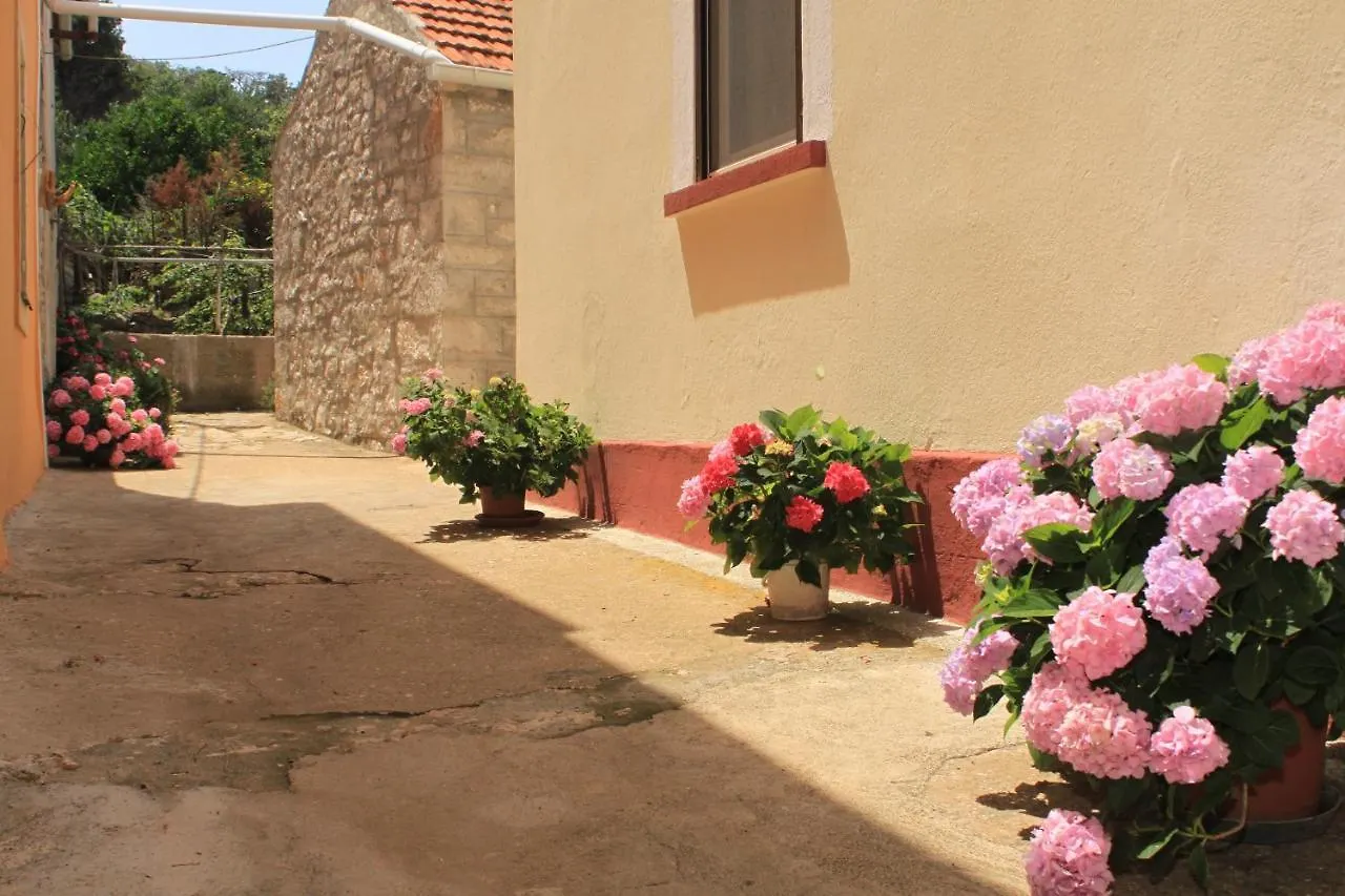 Apartments By The Sea Veli Rat, Dugi Otok - 437 Croatia